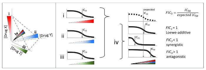figure-results-5 Drug interaction analysis diagram with dose-response curves and calculation of IC<sub>50</sub> for synergy.