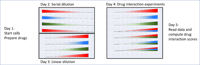 figure-results-6 Drug interaction workflow chart; steps include cell prep, dilutions, interaction tests, data analysis.