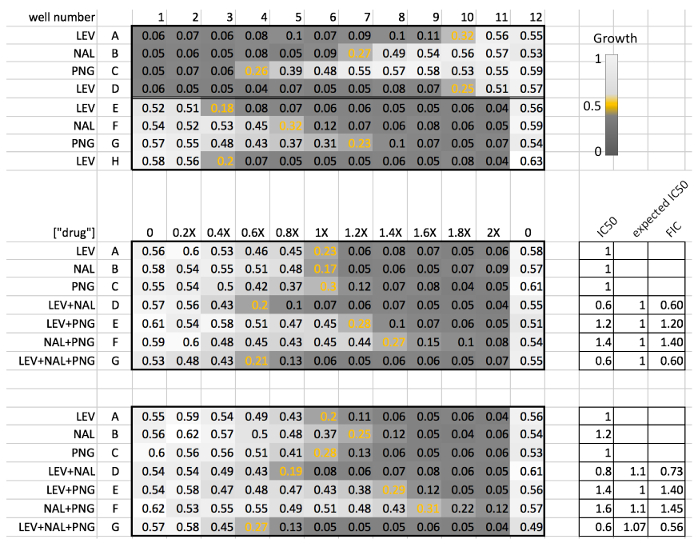 figure-results-9 Antimicrobial growth inhibition; heat map, drug concentration matrix; IC50, FIC analysis shown.