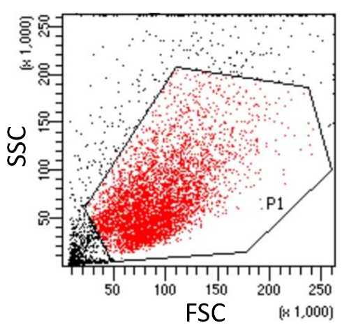 A Flow Cytometry-based Assay for Measuring Mitochondrial Membrane ...
