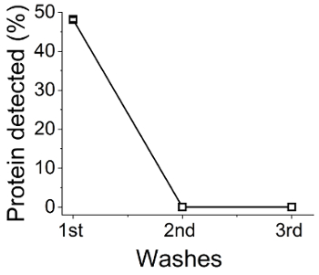 figure-results-7 protein detection vs washes graph, protein purification, chromatography result analysis