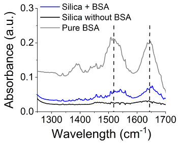 figure-results-8 Absorbance spectra graph comparing silica and BSA mixtures for protein binding analysis.