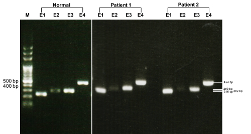 figure-results-1 figure-results-1