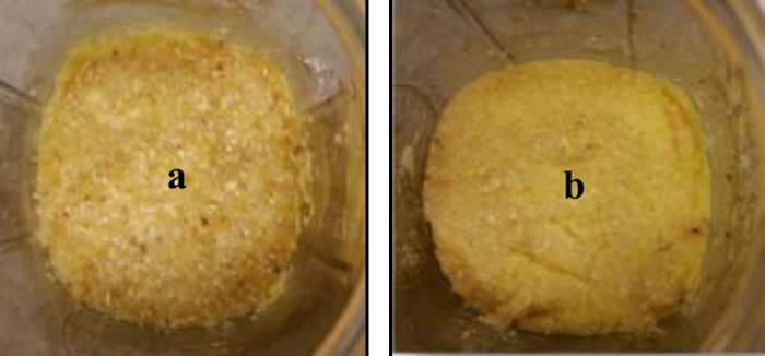 figure-protocol-2 Food grinding process comparison; two close-up images of cornmeal texture; experimental analysis.