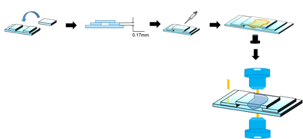 figure-results-2