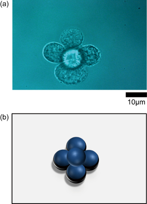 figure-results-3
