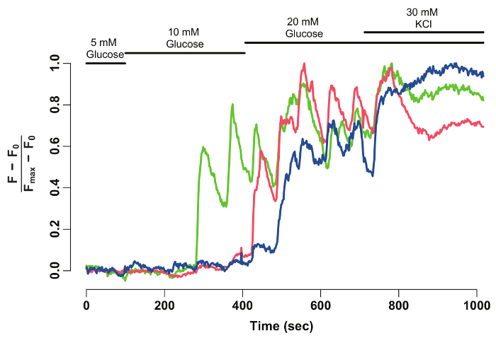 figure-results-2 figure-results-2