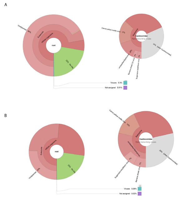 figure-results-2