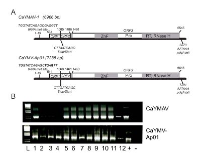 figure-results-3