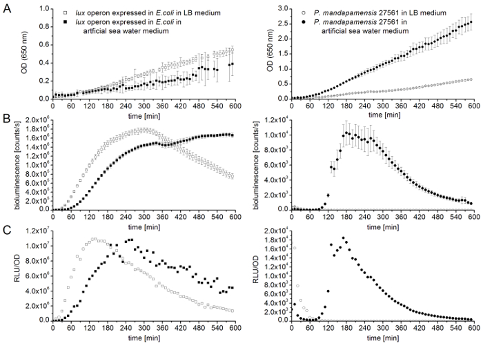 figure-results-4 Grafici di crescita batterica e bioluminescenza; E. coli vs. P. mandapamensis in LB e mezzi di acqua marina.