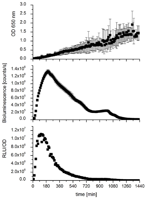 figure-results-5 Dinamica di crescita, bioluminescenza, grafico RLU/OD; Risultati sperimentali nel tempo in pochi minuti.