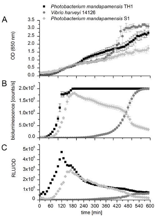 figure-results-6 Grafico della crescita batterica e della luminescenza; analisi della densità ottica, della bioluminescenza, dell'RLU/OD rispetto al tempo.