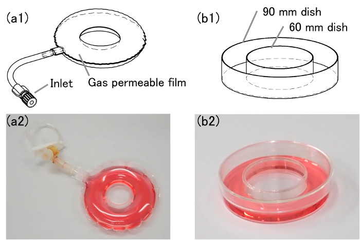 Gas exchange system with gas-permeable film, dishes; setup for biochemical experiments.