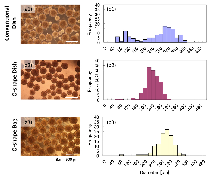 Spheroid formation comparison; microscopy, size distribution histograms, conventional vs O-shape dishes.