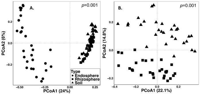 figure-results-2 Principal Coordinate Analysis (PCoA) diagram comparing endosphere, rhizosphere, soil samples.