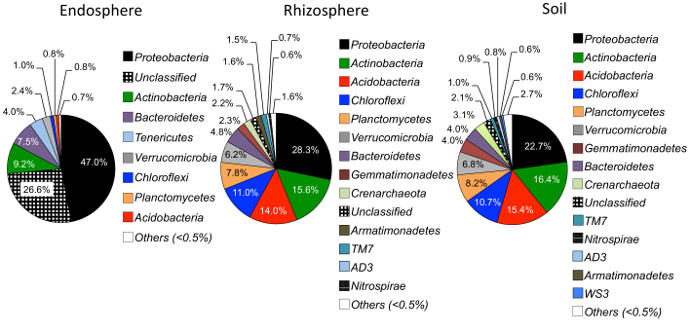 figure-results-4 Microbial community composition in endosphere, rhizosphere, and soil; pie chart comparison.