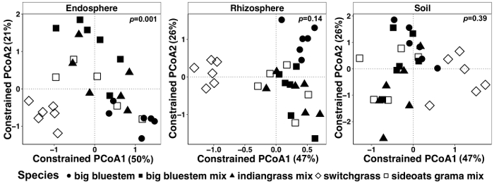 figure-results-7 Constrained PCoA analysis diagrams for endosphere, rhizosphere, soil: species comparison.