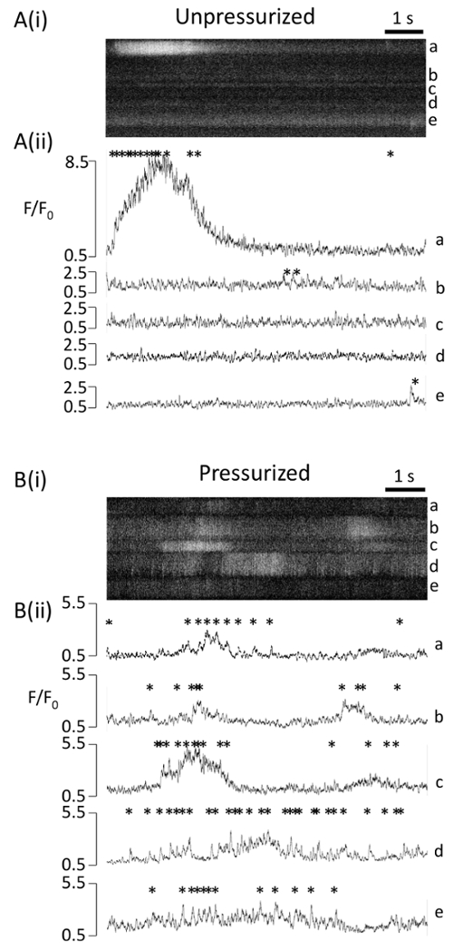 Fluorescence intensity analysis; time vs normalized intensity in unpressurized/pressurized conditions.