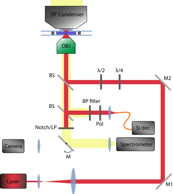 figure-results-2