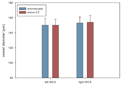 Bar chart comparing vessel diameter via microscopy and micro-CT; scientific data analysis.
