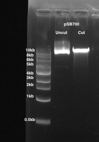 figure-results-1 figure-results-1