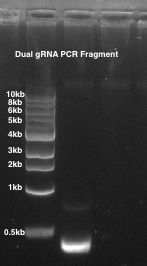 figure-results-2 figure-results-2
