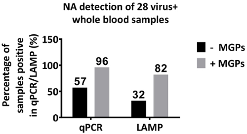 NA detection bar chart; qPCR, LAMP results for virus+ blood; MGPs impact; experimental analysis.