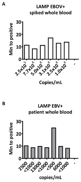 LAMP assay results in bar graphs for EBOV detection in spiked and patient whole blood samples.