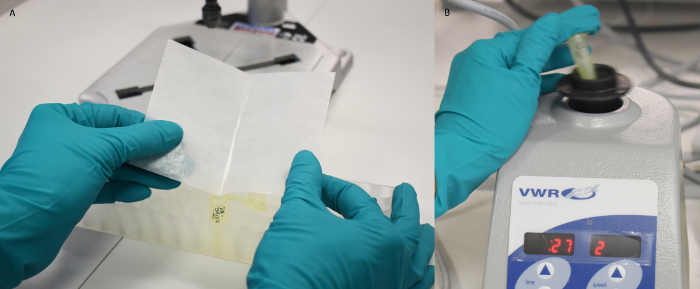 Laboratory setup for DNA extraction: centrifuge use and gel electrophoresis preparation, experiment.