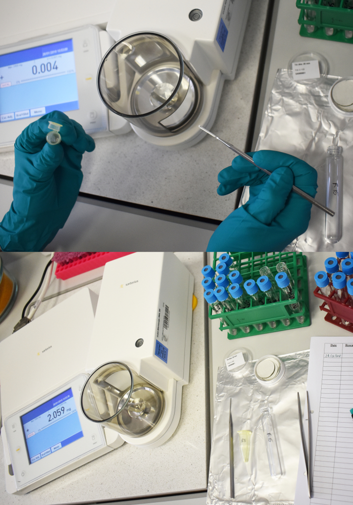Laboratory experiment with precision balance, microcentrifuge tubes, data logging for sample analysis.