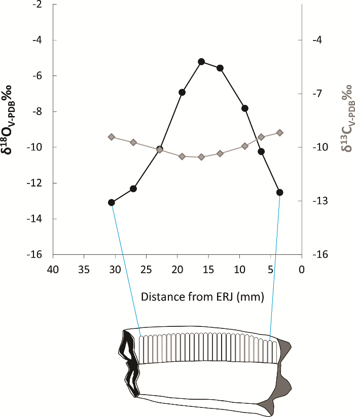 Graph showing isotopic variation, δ18O and δ13C, vs. ERJ distance with a core sample diagram.