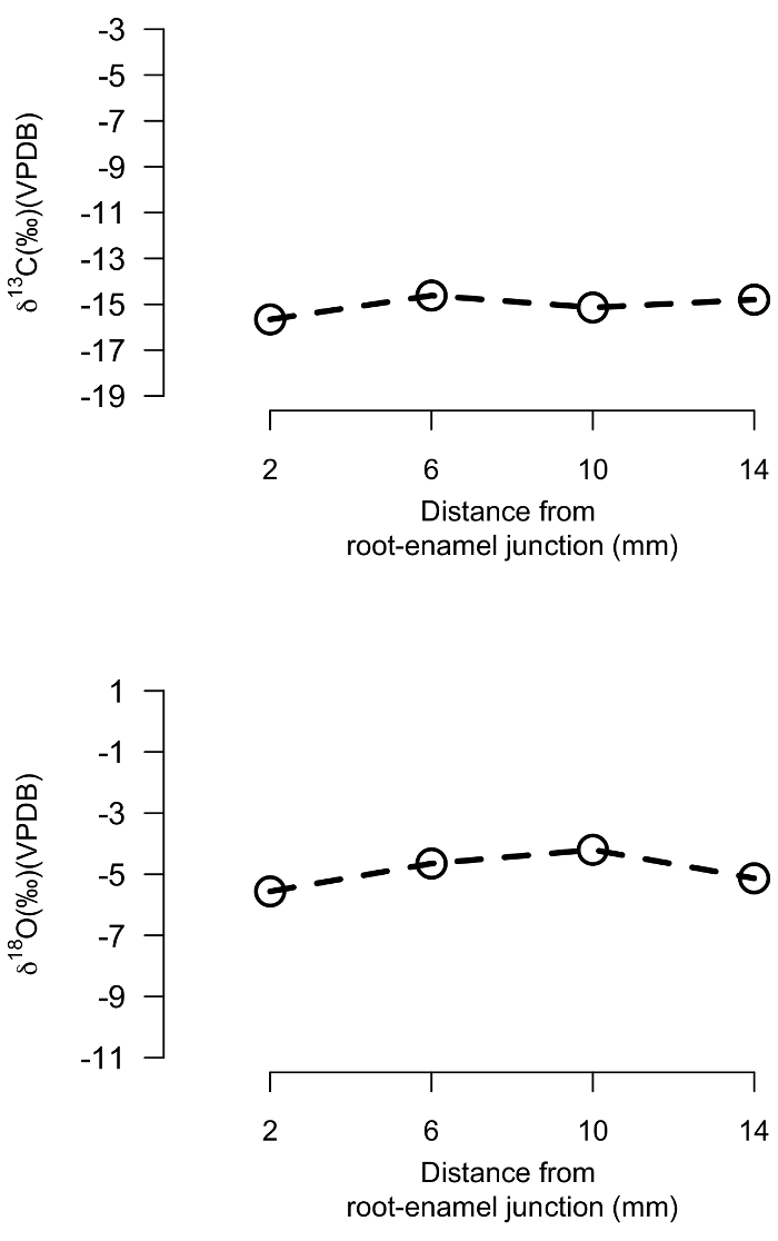Carbon and oxygen isotope ratio graphs showing variation with distance from root-enamel junction.