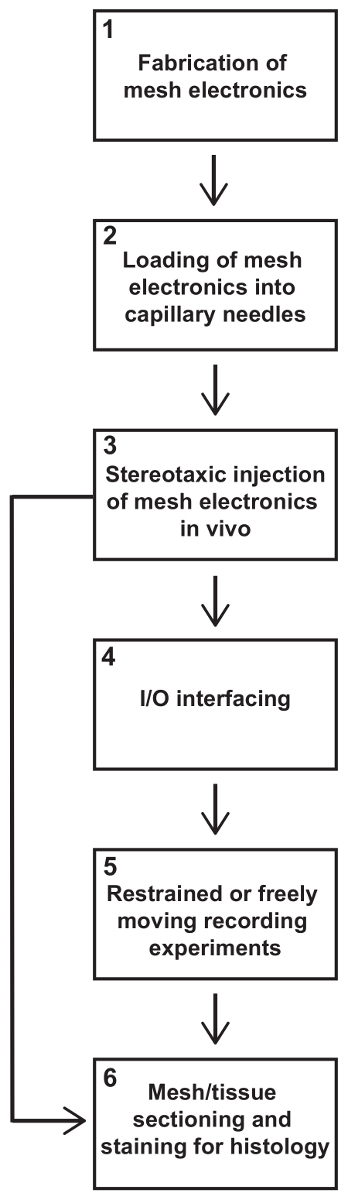 Mesh electronics process flowchart: fabrication, injection, I/O interfacing, recording, histology.