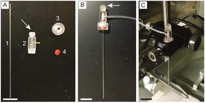 Chromatography system, experimental setup; components and assembly process shown in three panels.