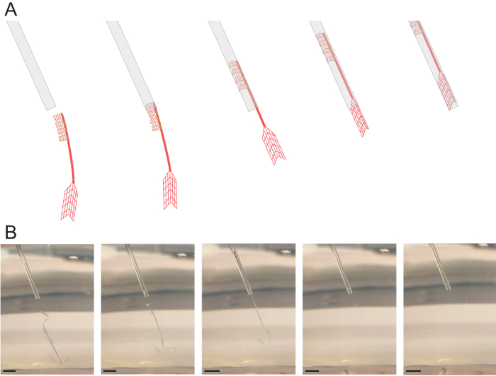 Sequential injection molding setup illustrations and photos showing polymer deposition process.