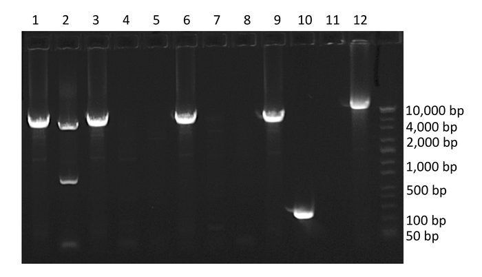 figure-results-2 figure-results-2