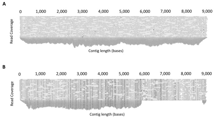 figure-results-3 figure-results-3