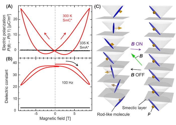 Measuring Magnetically-Tuned Ferroelectric Polarization in Liquid Crystals