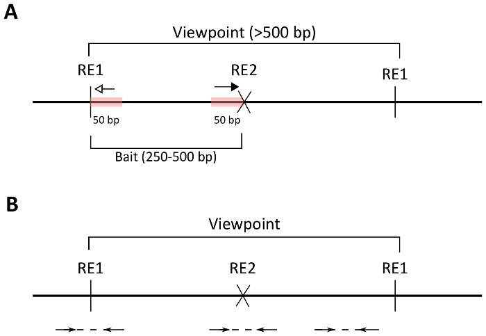 High-throughput Identification of Gene Regulatory Sequences Using Next ...