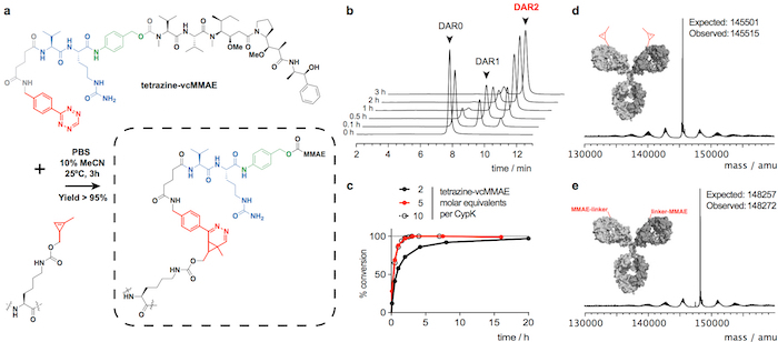 figure-results-2 Conjugation reaction diagram, chromatogram, and mass spectra for tetrazine-vcMMAE synthesis analysis.