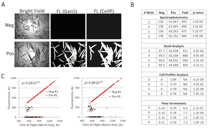 Fluorescence analysis of samples with negative and positive controls using spectrophotometry and graphs.