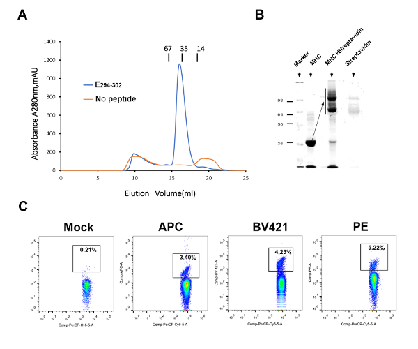 Chromatography results, absorbance graph, gel electrophoresis, flow cytometry analysis.