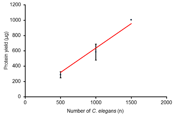 Protein yield graph vs. C. elegans count; linear correlation, experimental data, protein extraction.