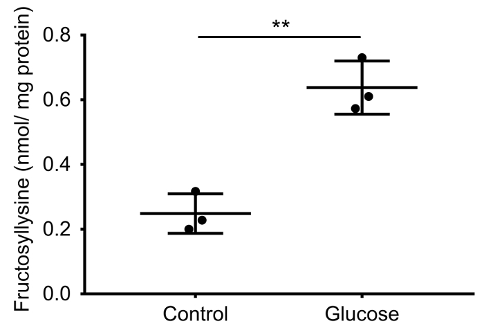 Bar graph comparing fructosyllysine levels in control vs glucose groups with statistical significance.