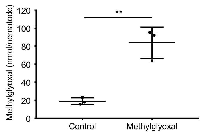 Methylglyoxal concentration bar chart; control vs treatment; statistical significance indicated.