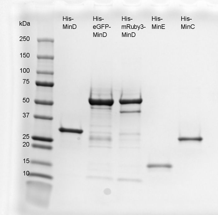 figure-results-1