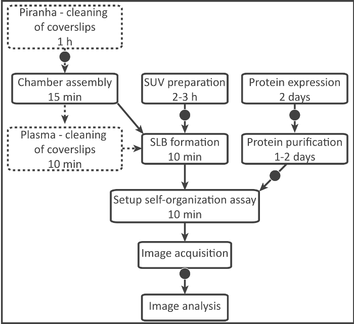 figure-results-2
