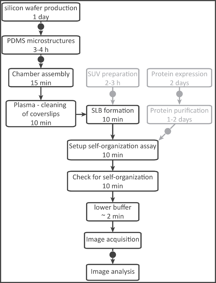figure-results-4