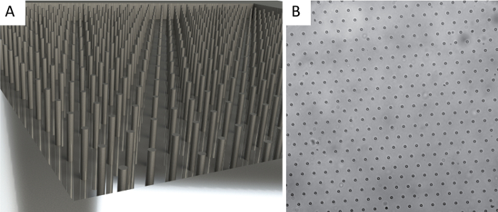 figure-results-2 Micro/nanopillar array structure diagram for cellular analysis, surface patterning, top-down view.