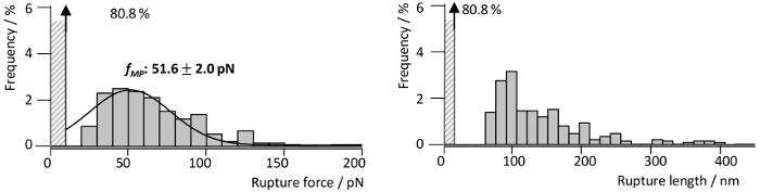 Rupture force histogram, 51.6±2.0 pN, rupture length analysis, frequency distribution charts.